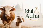 qurban